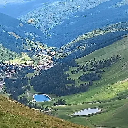 La Foux D'allos : Cosy Au Pied Des Pistes Vue Montagne Διαμέρισμα *