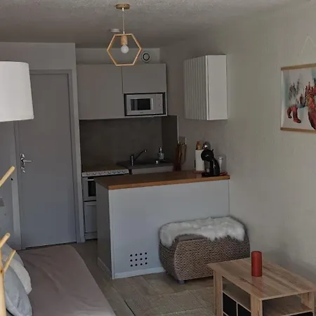 La Foux D'allos : Cosy Au Pied Des Pistes Vue Montagne